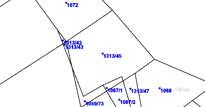 Parcela st. 1313/45 v KÚ Tedražice, Katastrální mapa