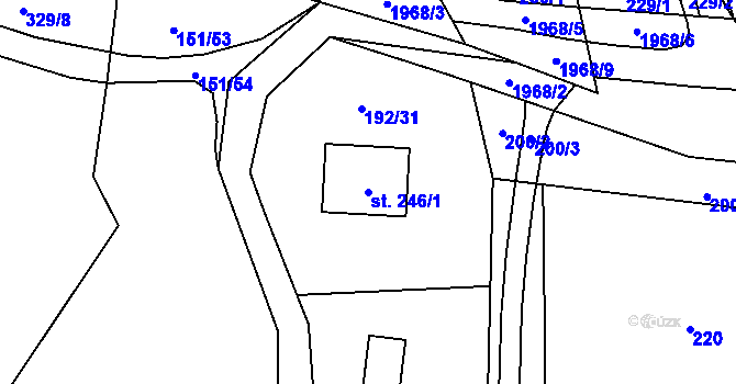 Parcela st. 246/1 v KÚ Hrádek, Katastrální mapa