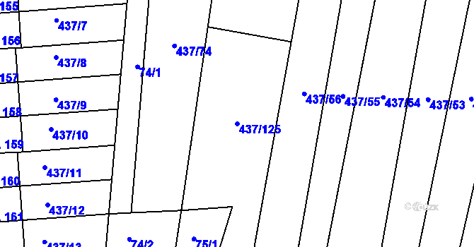 Parcela st. 437/125 v KÚ Hradešice, Katastrální mapa