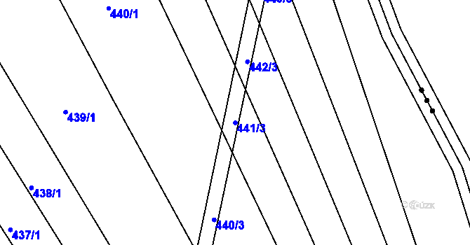Parcela st. 441/3 v KÚ Hradiště u Domažlic, Katastrální mapa