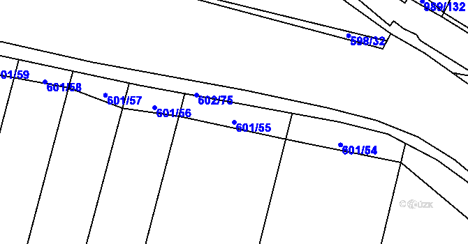 Parcela st. 601/55 v KÚ Hrdějovice, Katastrální mapa