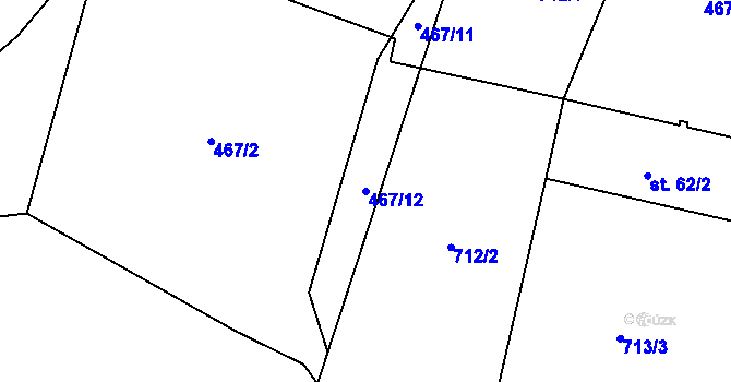 Parcela st. 467/12 v KÚ Razice, Katastrální mapa
