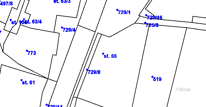 Parcela st. 55 v KÚ Blansko u Hrochova Týnce, Katastrální mapa