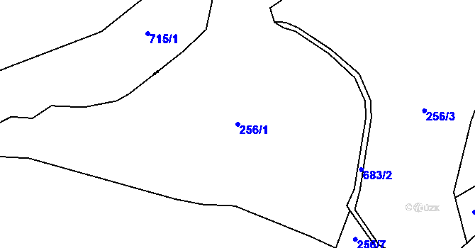 Parcela st. 256/1 v KÚ Velký Dřevíč, Katastrální mapa