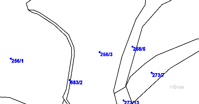 Parcela st. 256/3 v KÚ Velký Dřevíč, Katastrální mapa