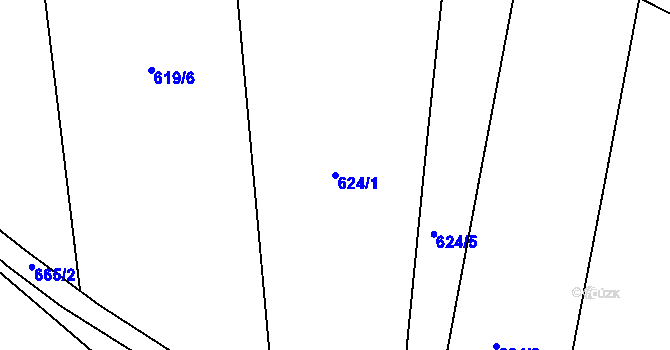 Parcela st. 624/1 v KÚ Velký Dřevíč, Katastrální mapa
