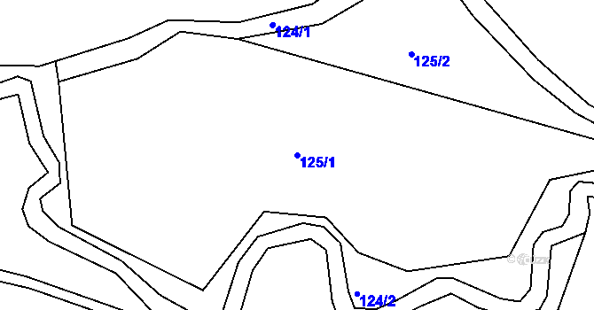 Parcela st. 125/1 v KÚ Malá Čermná, Katastrální mapa