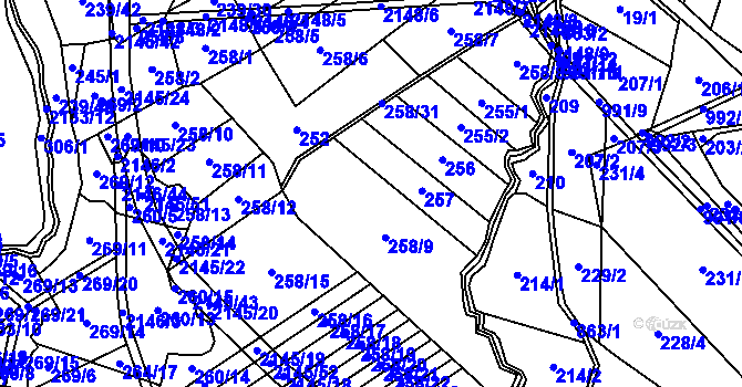 Parcela st. 258 v KÚ Hrubá Skála, Katastrální mapa