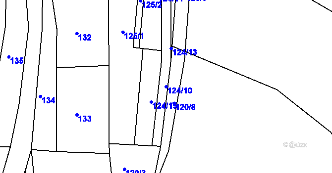 Parcela st. 124/10 v KÚ Henčov, Katastrální mapa