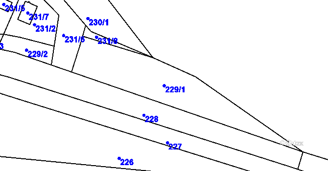 Parcela st. 229/1 v KÚ Henčov, Katastrální mapa