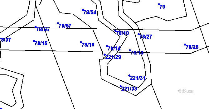 Parcela st. 221/29 v KÚ Hrušova Lhota, Katastrální mapa
