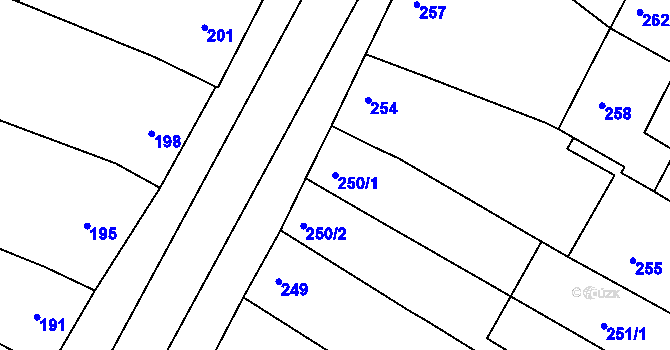 Parcela st. 250/1 v KÚ Hrušovany u Brna, Katastrální mapa