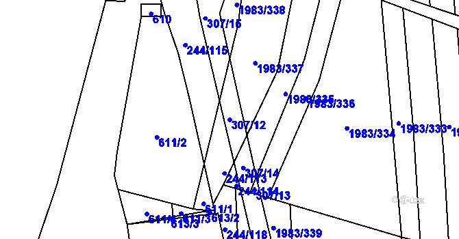 Parcela st. 307/12 v KÚ Hrušovany u Brna, Katastrální mapa