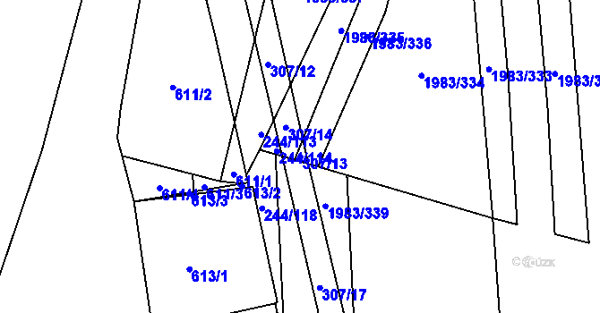 Parcela st. 307/13 v KÚ Hrušovany u Brna, Katastrální mapa