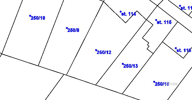 Parcela st. 250/12 v KÚ Hřiměždice, Katastrální mapa