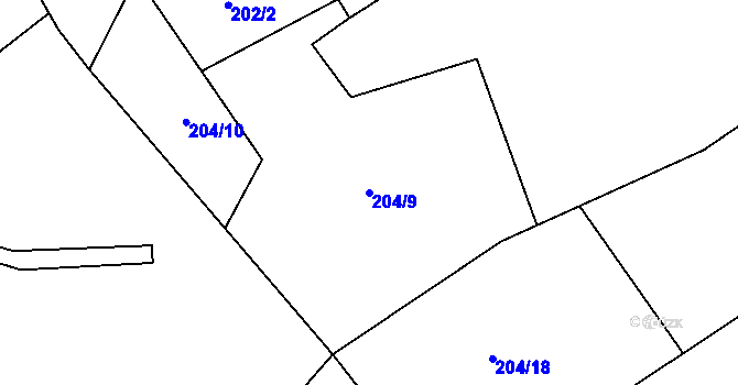 Parcela st. 204/9 v KÚ Nová Ves u Hříškova, Katastrální mapa
