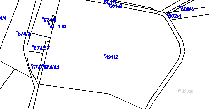 Parcela st. 491/2 v KÚ Hůrky u Lišova, Katastrální mapa