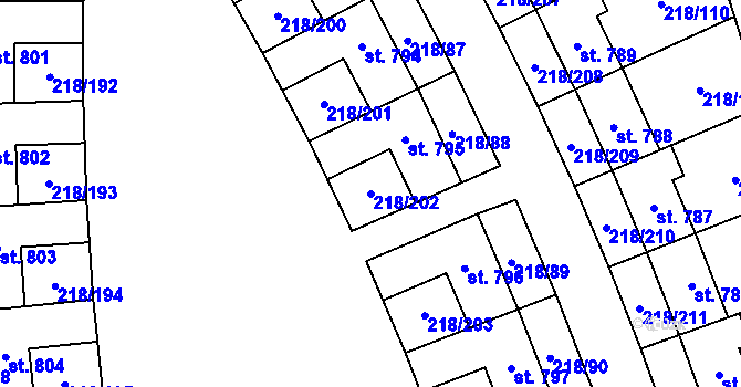 Parcela st. 218/202 v KÚ Husinec u Řeže, Katastrální mapa