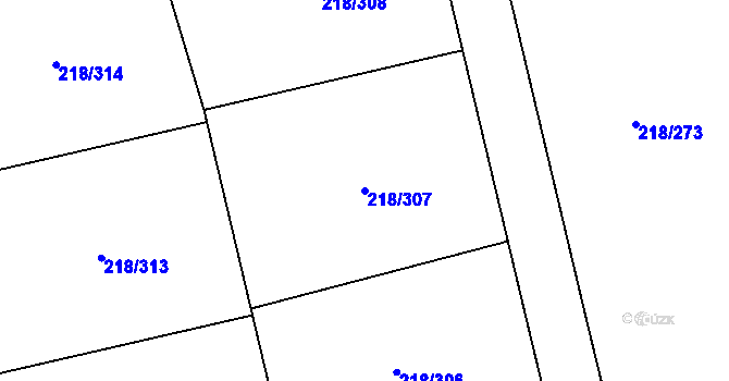 Parcela st. 218/307 v KÚ Husinec u Řeže, Katastrální mapa