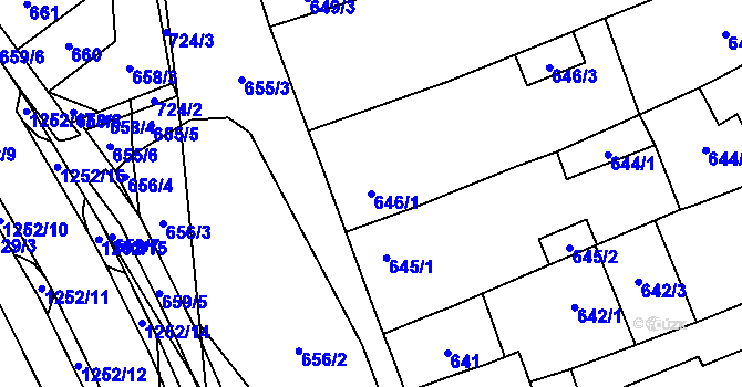 Parcela st. 646/1 v KÚ Hustopeče u Brna, Katastrální mapa