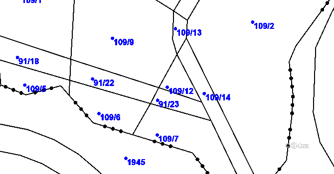 Parcela st. 109/12 v KÚ Hvozd, Katastrální mapa