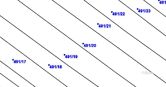 Parcela st. 491/20 v KÚ Hvozd, Katastrální mapa