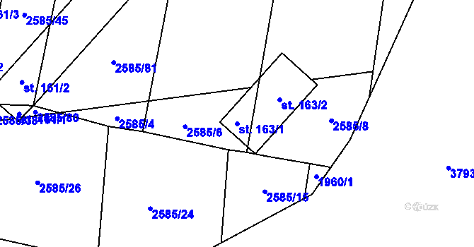 Parcela st. 163/1 v KÚ Dražeň, Katastrální mapa