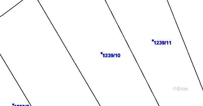 Parcela st. 1239/10 v KÚ Hvozdná, Katastrální mapa