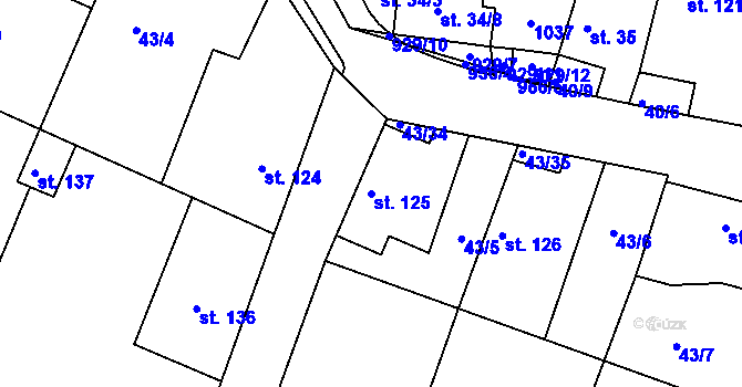 Parcela st. 125 v KÚ Hýskov, Katastrální mapa