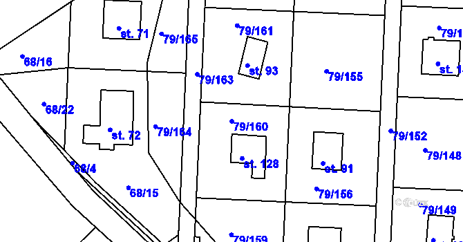 Parcela st. 79/160 v KÚ Vadkovice, Katastrální mapa