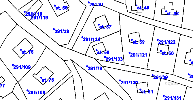 Parcela st. 58 v KÚ Cetnov, Katastrální mapa