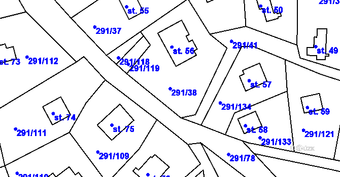 Parcela st. 291/38 v KÚ Cetnov, Katastrální mapa