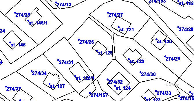 Parcela st. 125 v KÚ Skalka u Chebu, Katastrální mapa