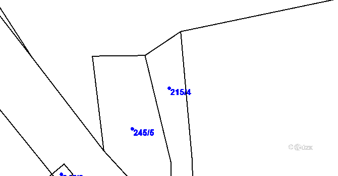 Parcela st. 215/4 v KÚ Střížov u Chebu, Katastrální mapa