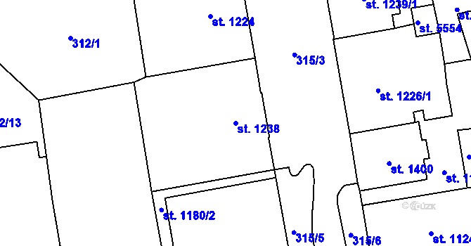 Parcela st. 1238 v KÚ Cheb, Katastrální mapa