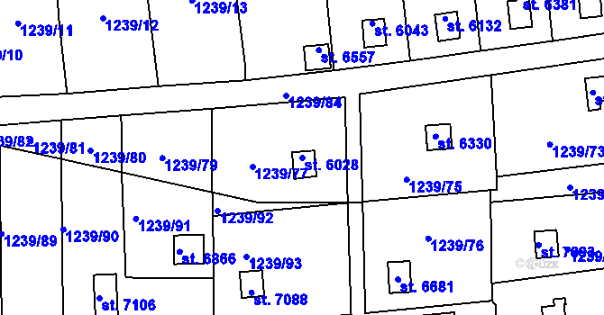 Parcela st. 6028 v KÚ Cheb, Katastrální mapa
