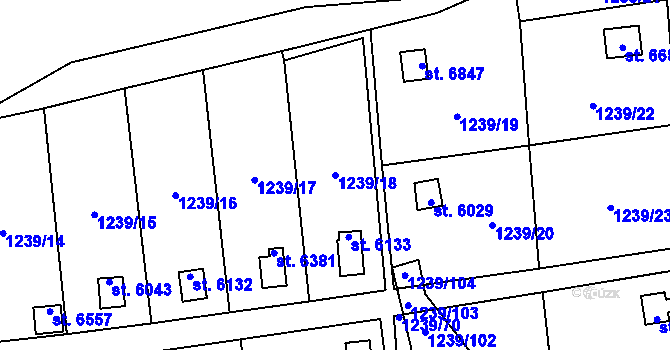 Parcela st. 1239/18 v KÚ Cheb, Katastrální mapa