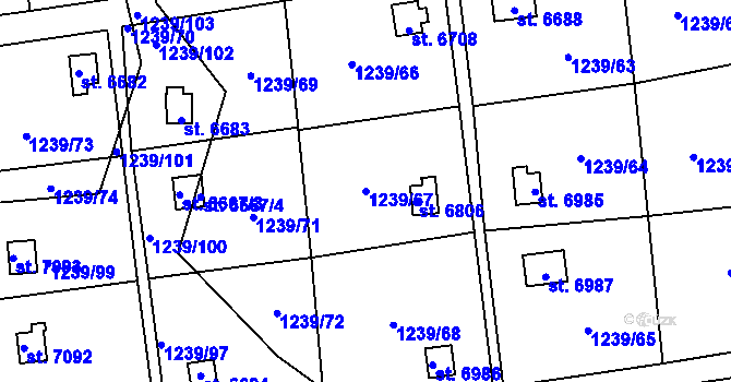 Parcela st. 1239/67 v KÚ Cheb, Katastrální mapa