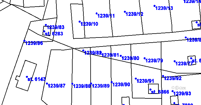 Parcela st. 1239/81 v KÚ Cheb, Katastrální mapa