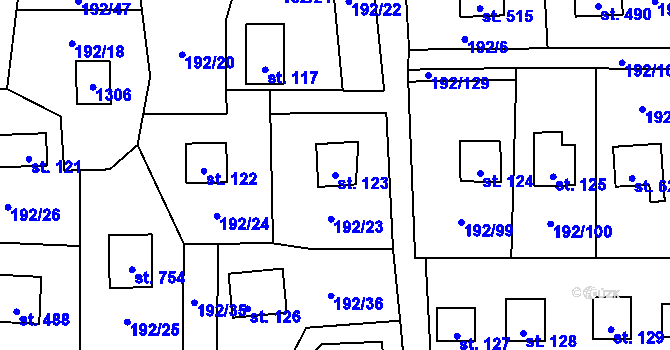 Parcela st. 123 v KÚ Dřenice u Chebu, Katastrální mapa
