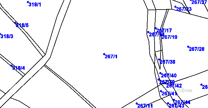 Parcela st. 267/1 v KÚ Chlum u Letovic, Katastrální mapa