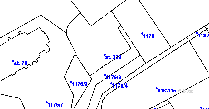 Parcela st. 229 v KÚ Chlum u Třeboně, Katastrální mapa