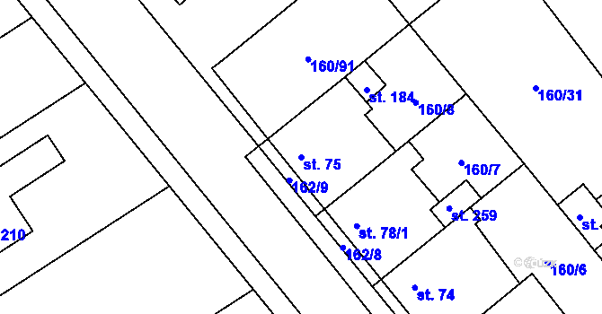 Parcela st. 75 v KÚ Blšany u Loun, Katastrální mapa
