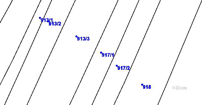 Parcela st. 917/1 v KÚ Chlumec nad Cidlinou, Katastrální mapa