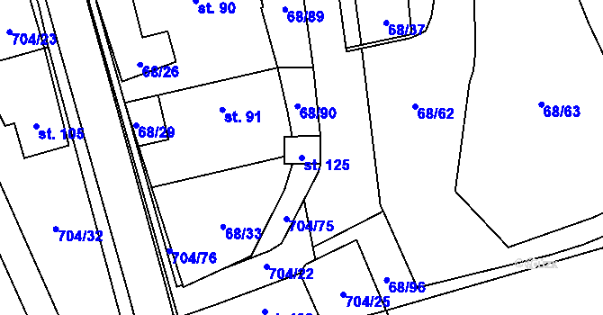 Parcela st. 125 v KÚ Chlumětín, Katastrální mapa