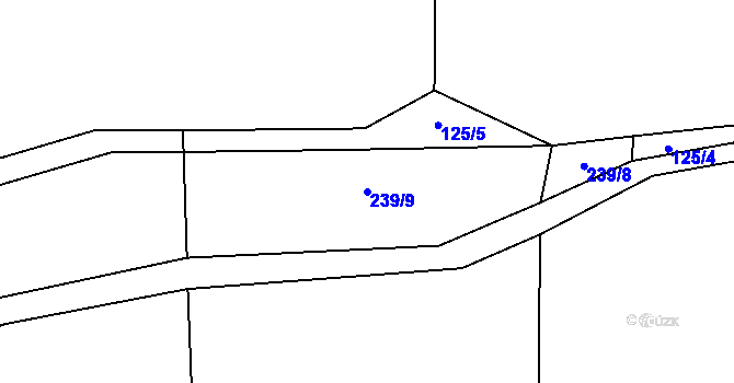 Parcela st. 239/9 v KÚ Velká Chmelná, Katastrální mapa
