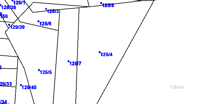 Parcela st. 125/4 v KÚ Chocenice, Katastrální mapa