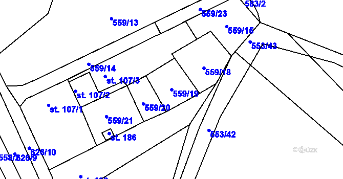 Parcela st. 559/19 v KÚ Chocenice, Katastrální mapa