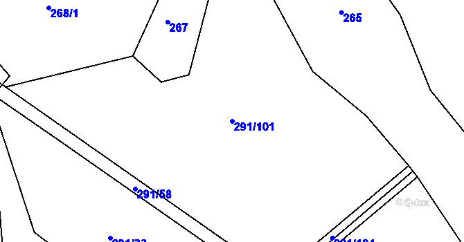 Parcela st. 291/101 v KÚ Chocenice, Katastrální mapa