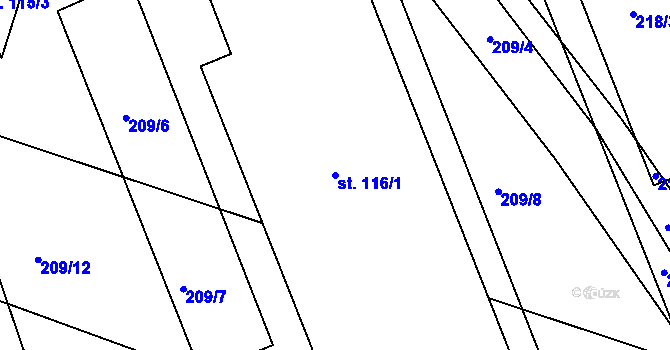 Parcela st. 116/1 v KÚ Chodouny, Katastrální mapa